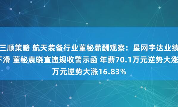 三顺策略 航天装备行业董秘薪酬观察:星网宇达业绩断崖式下滑 董秘袁晓宣违规收警示函 年薪70.1万元逆势大涨16.83%