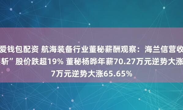爱钱包配资 航海装备行业董秘薪酬观察：海兰信营收同比“腰斩”股价跌超19% 董秘杨晔年薪70.27万元逆势大涨65.65%